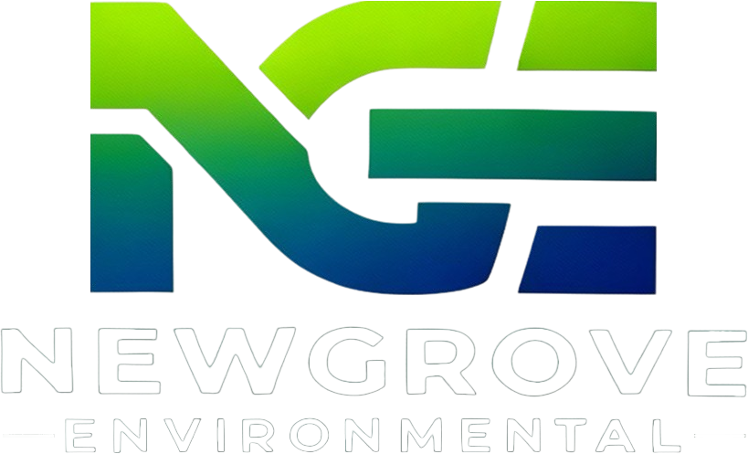 NGE logo transparent